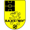 Afbeelding: logo NSV 35+1