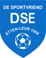 Afbeelding: logo DSE 5